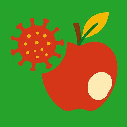 Ghẻ sẹo, Nấm bệnh