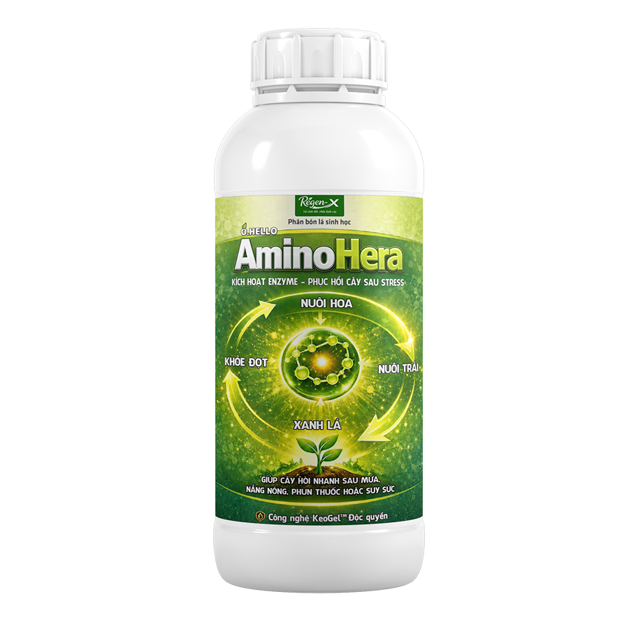 O.HELLO AminoHera – Amino acid 30% + Mn/Zn, phục hồi cây sau stress, xanh lá, khỏe đọt