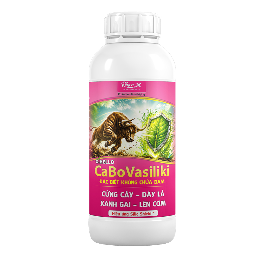 O.HELLO CaBoVasiliki – Ca Bo không đạm, hiệu ứng Silic Shield™ giúp cứng cây, dày lá, xanh gai, lên cơm