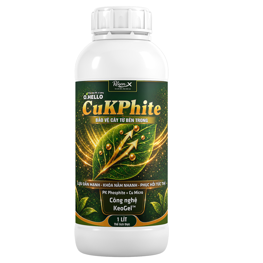 O.HELLO CuKPhite – PK Phosphite + Cu Micro lưu dẫn 2 chiều, kích đề kháng, cứng mô sau mưa