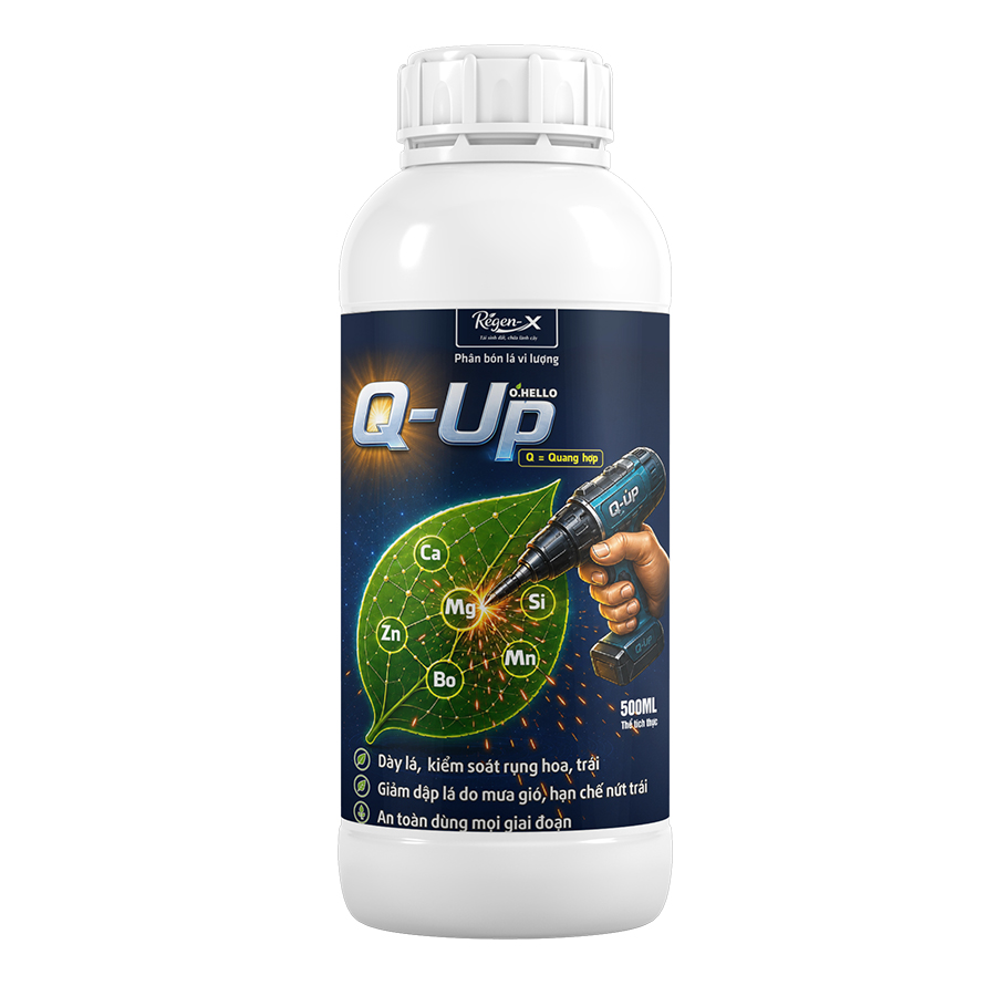 O.HELLO Q-Up – Ca Mg Zn Bo Mn công nghệ KeoGel, dày lá, chắc cuống, bền trái
