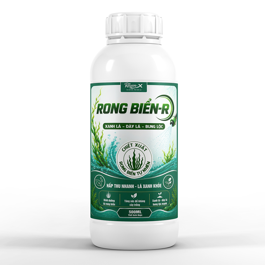 RONG BIỂN-R – Chiết xuất rong biển tự nhiên giúp xanh lá, dày lá, bung lộc